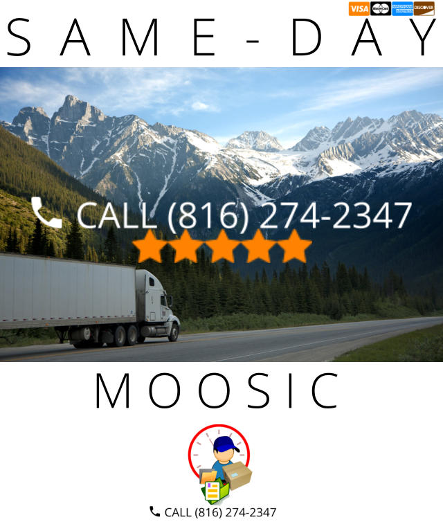 M O O S I C S  A  M  E  -  D  A  Y